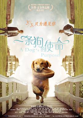 www欧美成人18+