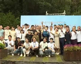 ckplayer国内精品