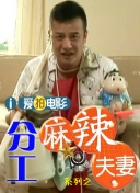 国产精品久久久久av