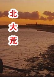91在线国内在线播放大神