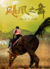 久久精品视频一