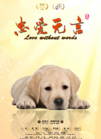 丁香激情视频