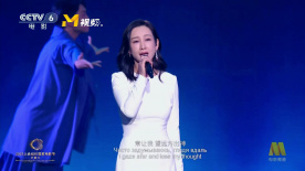 跑车里的车手