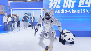 成人迅雷